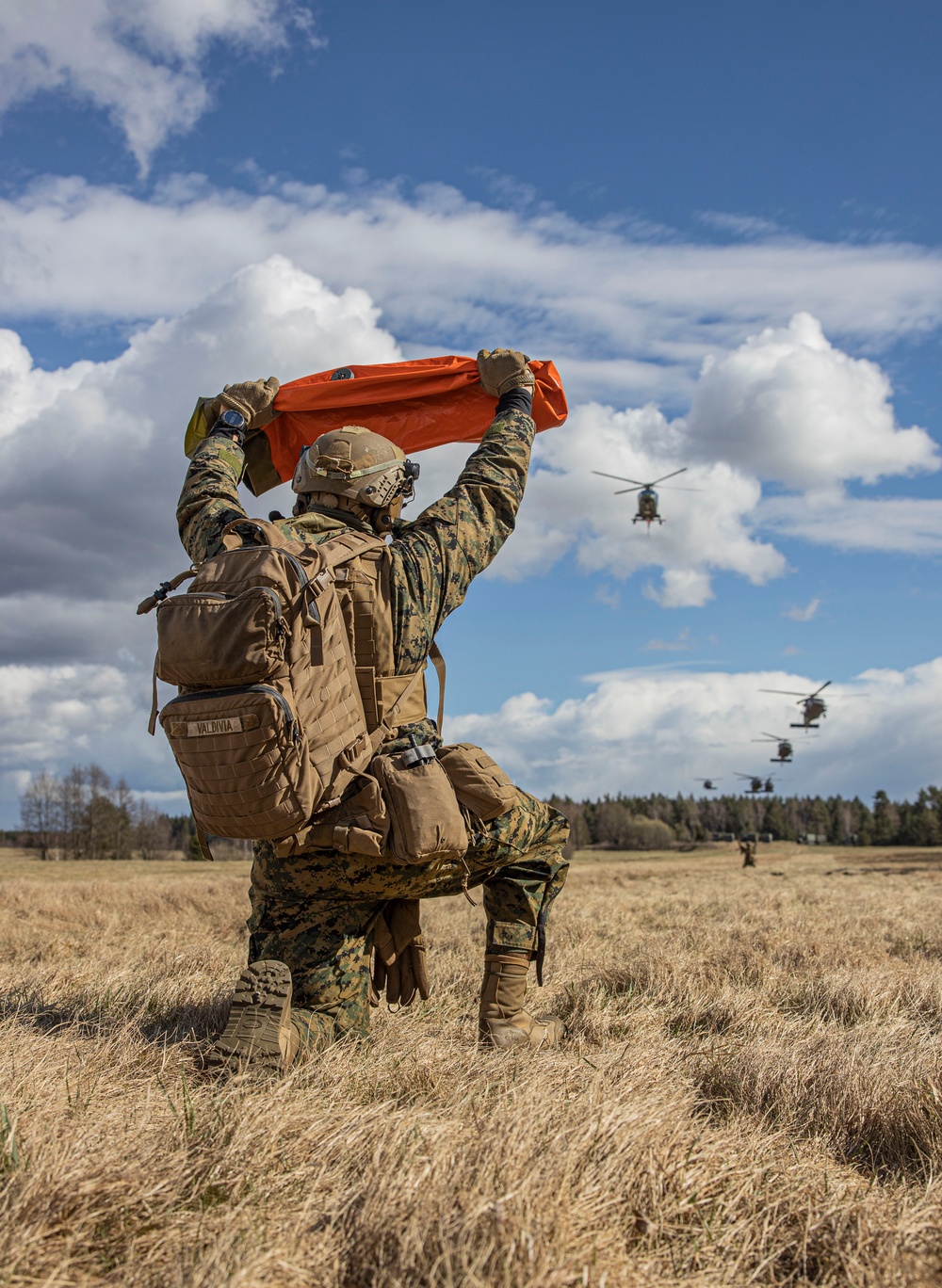 U.S. Marines with 2/8 Conduct an Air Assaults with Swedish Armed Forces