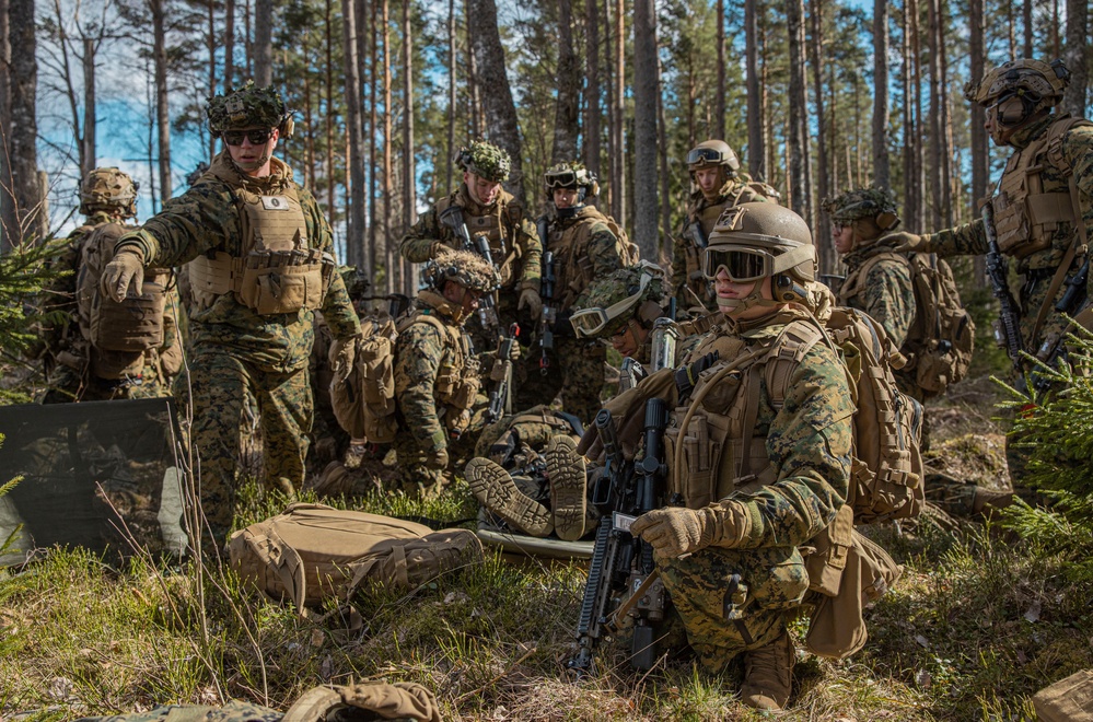 U.S. Marines with 2/8 Conduct an Air Assaults with Swedish Armed Forces