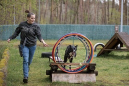 Dog Training available for Kaiserslautern Military Community