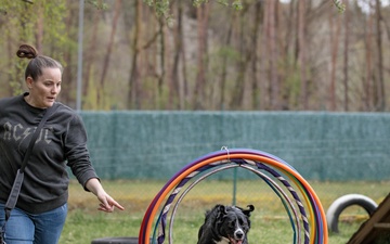 With Kaiserslautern Outdoor Recreation’s dog training, anything is paw-sible