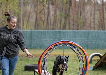 Dog Training available for Kaiserslautern Military Community