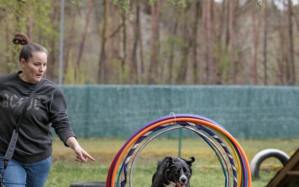 With Kaiserslautern Outdoor Recreation’s dog training, anything is paw-sible