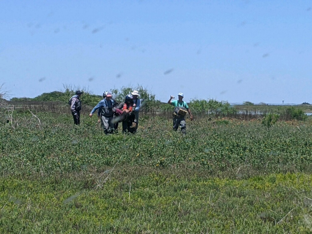 Coast Guard medevacs ailing man from island south of Corpus Christi, Texas