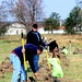 Fort McCoy community plants more than 500 trees for 2023 Arbor Day event