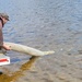 Annual fish stocking at Fort McCoy helps maintain fish populations for anglers