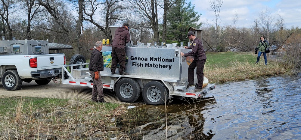 Annual fish stocking at Fort McCoy helps maintain fish populations for anglers