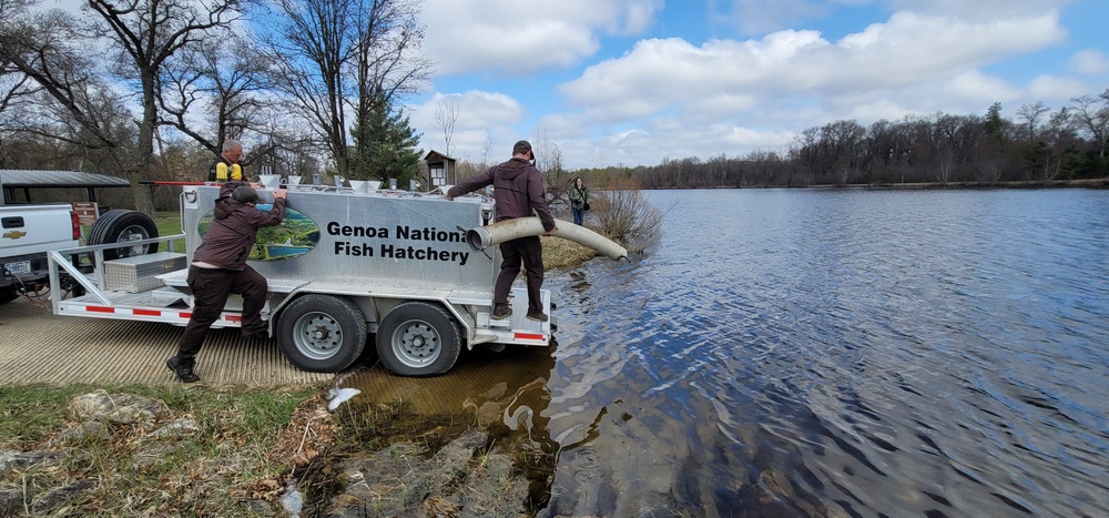 Annual fish stocking at Fort McCoy helps maintain fish populations for anglers