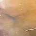 Annual fish stocking at Fort McCoy helps maintain fish populations for anglers