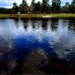 Annual fish stocking at Fort McCoy helps maintain fish populations for anglers