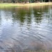 Annual fish stocking at Fort McCoy helps maintain fish populations for anglers