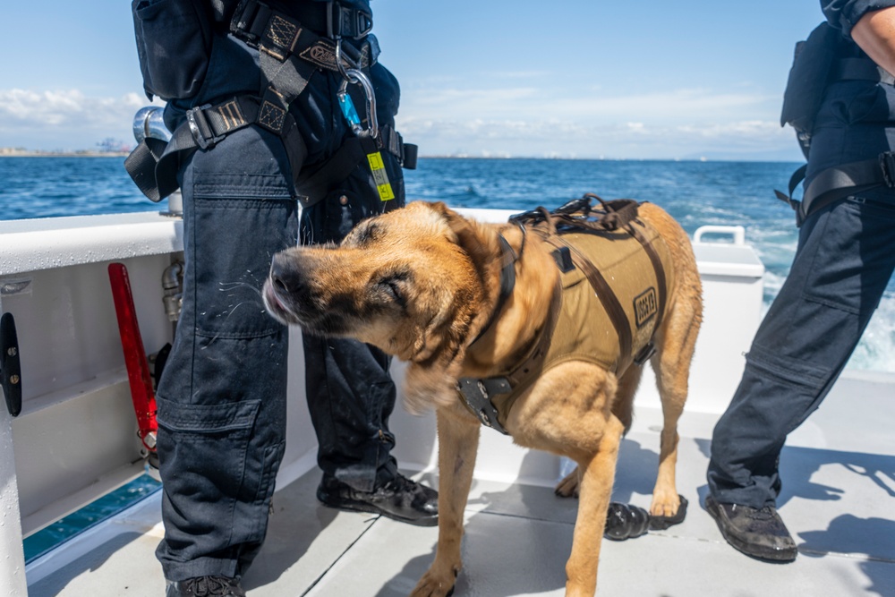 Maritime Enforcement K9 units train from the Air to the Sea