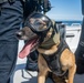 Maritime Enforcement K9 units train from the Air to the Sea