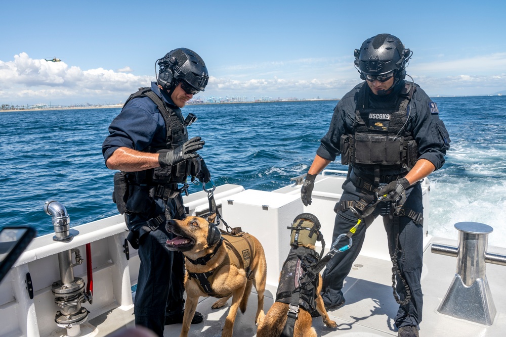 Maritime Enforcement K9 units train from the Air to the Sea