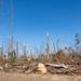 Tornado Damage in Selmer, TN