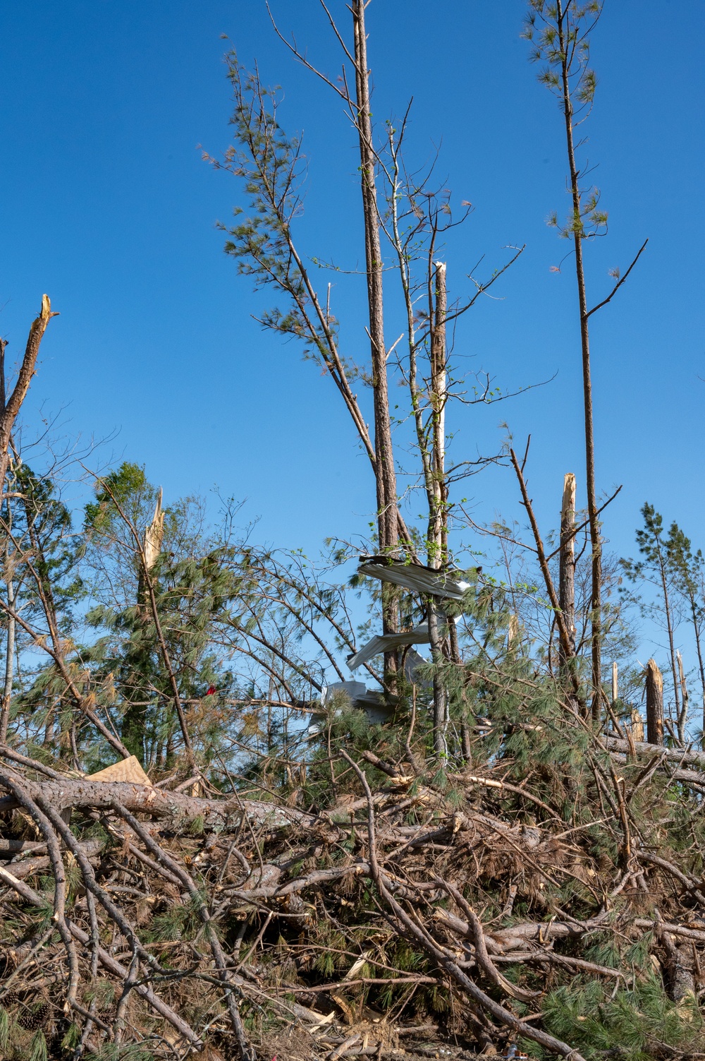 Tornado Damage in Selmer, TN