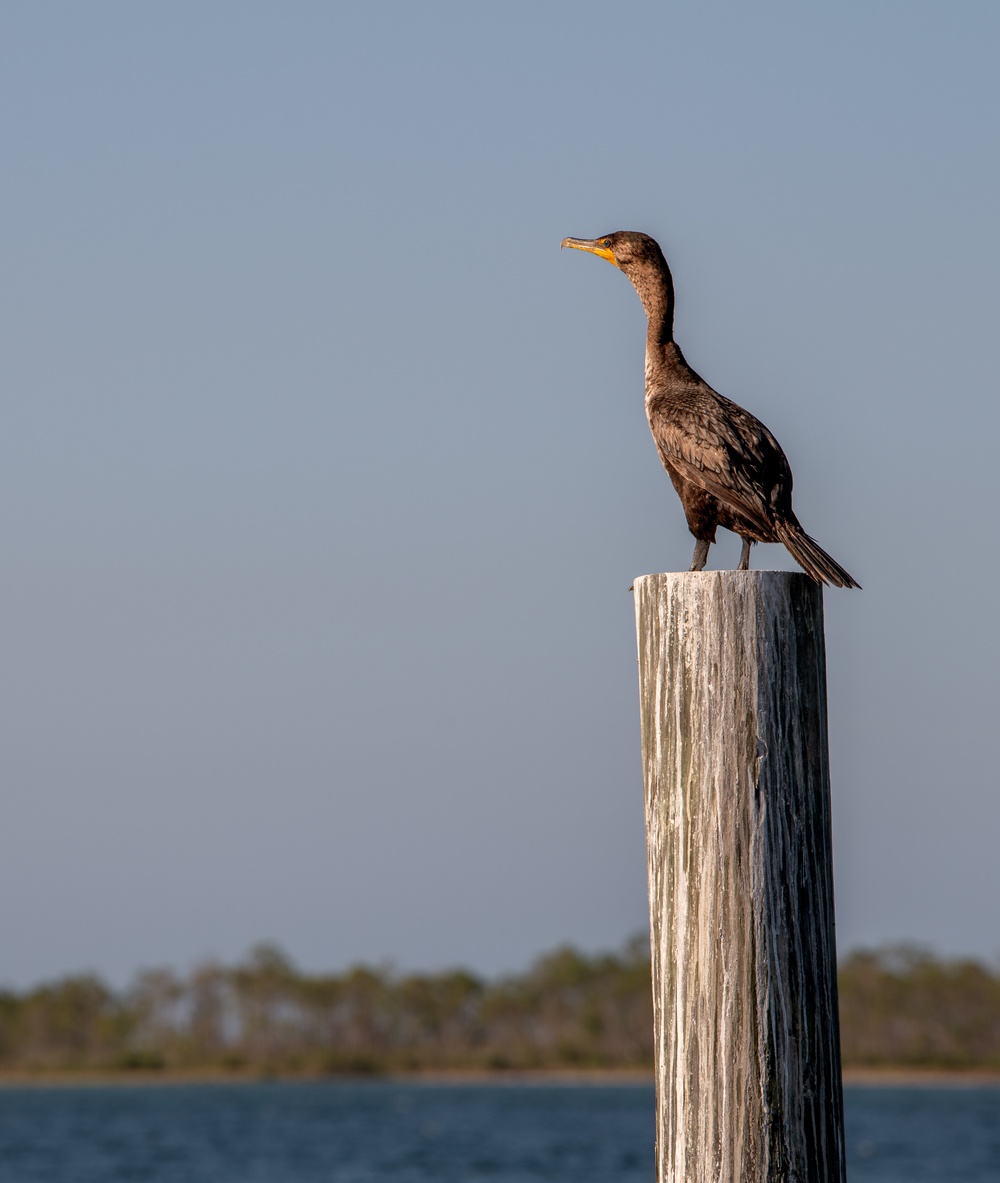 DVIDS - Images - Tyndall Marina Rebuild [Image 2 Of 16]