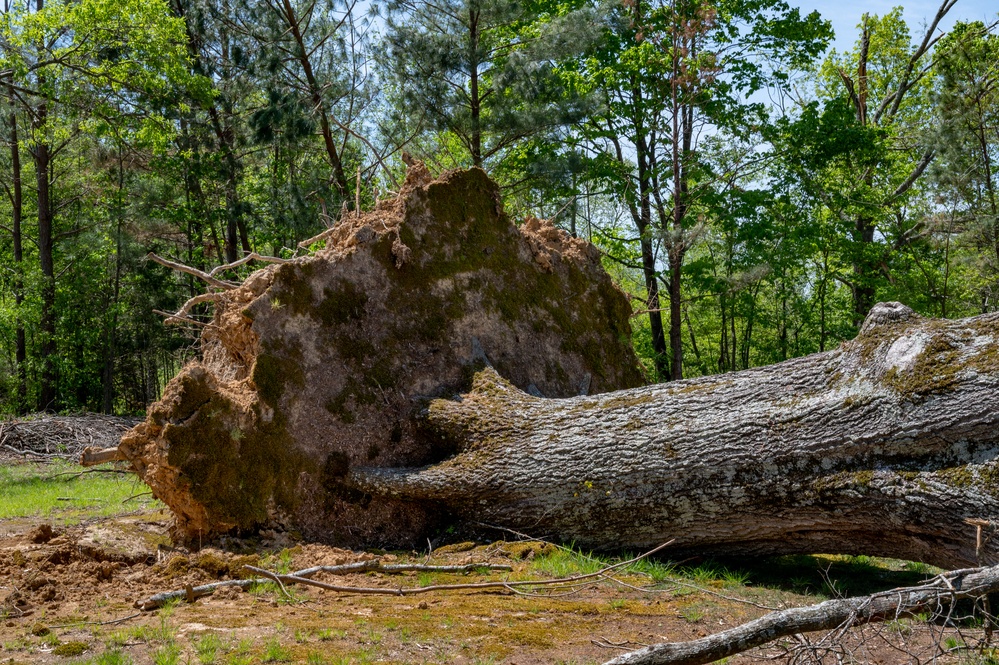 DVIDS - Images - Tornado Damage in Adamsville, TN [Image 5 of 41]