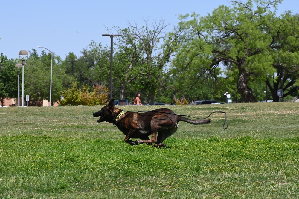 Angelo State University Drill Competition and Military Working Dog Demo