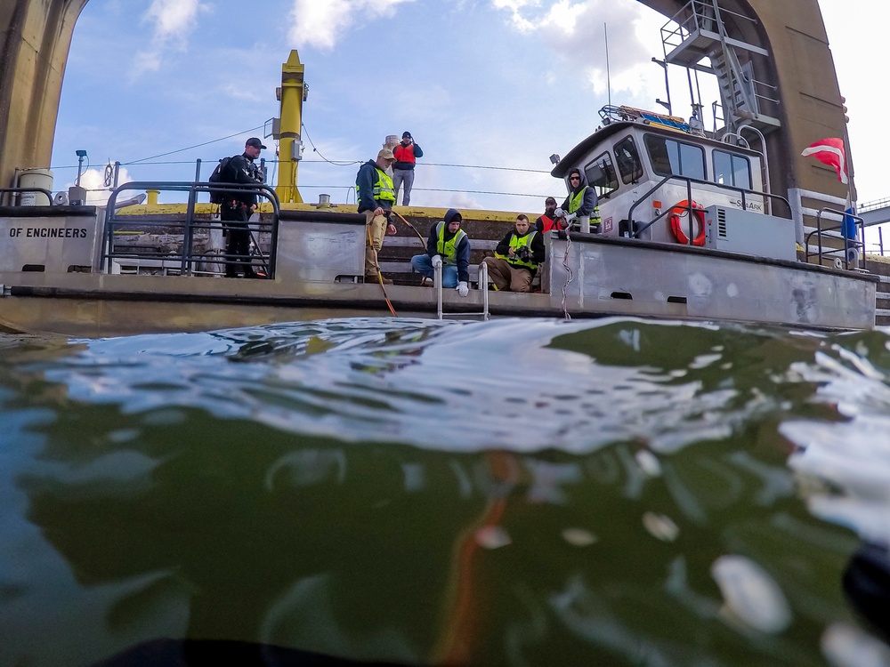 Pittsburgh District commander joins dive team for inspection on Monongahela River