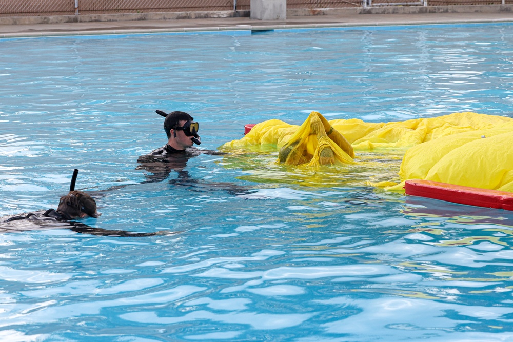 1st Reconnaissance Battalion Water Jump Training