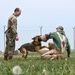 509th SFS Military Working Dog