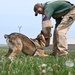 509th SFS Military Working Dog