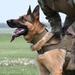 509th SFS Military Working Dog