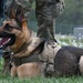 509th SFS Military Working Dog