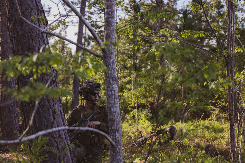 Cold Steel Conducts Full Mission Profile Raid