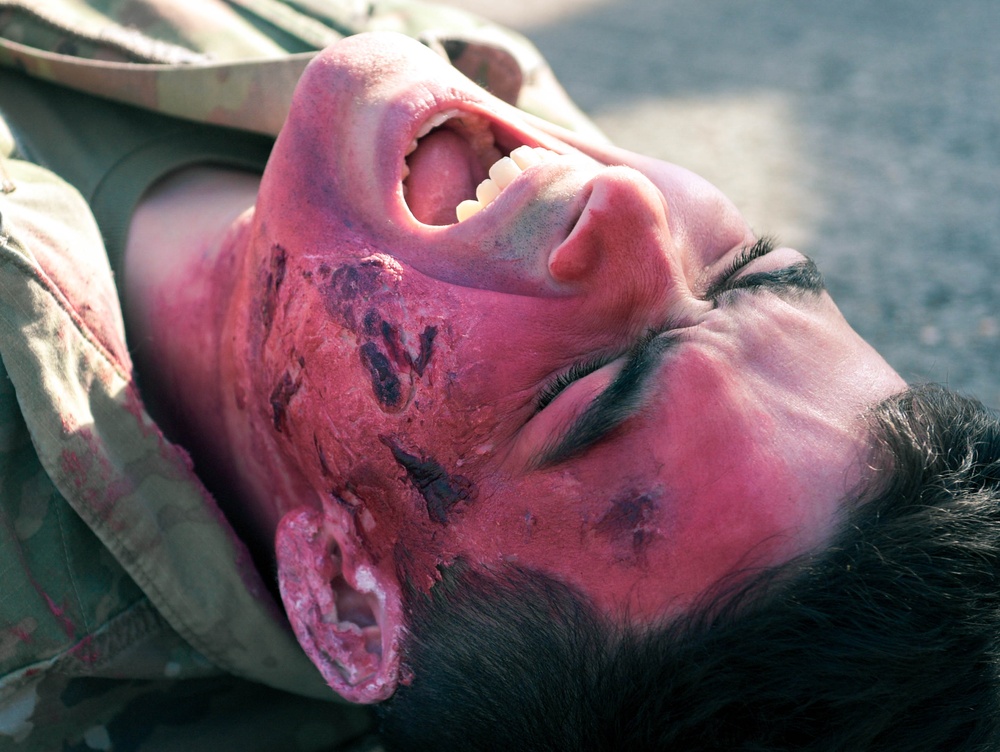 Ready Eagle II exercise tests 86th MDG readiness