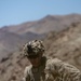 East Coast unit, 2nd Battalion, 2nd Marine Regiment participate in new Marine Air Ground Task Force Distributed Maneuver Exercise