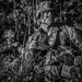 JRTC 23-07 Air Assault