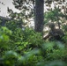 JRTC 23-07 Air Assault