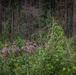 JRTC 23-07 Air Assault