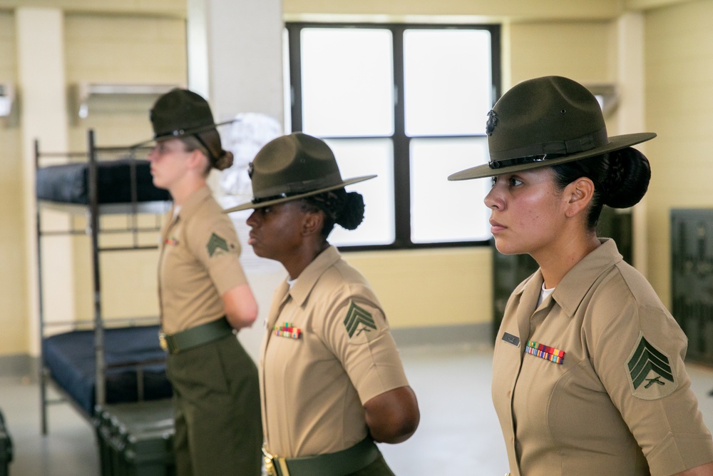 Papa Company Black Friday