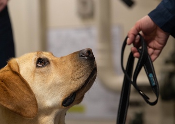 Mutts with a Mission deploys with USS Gerald R. Ford