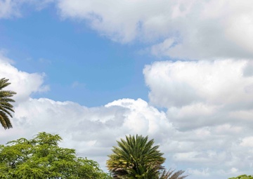 Sailors, Community Volunteer at Loko Pa'aiau Fishpond on Earth Day