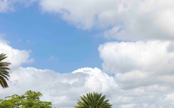 Sailors, Community Volunteer at Loko Pa'aiau Fishpond on Earth Day