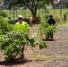 Sailors, Community Volunteer at Loko Pa'aiau Fishpond on Earth Day