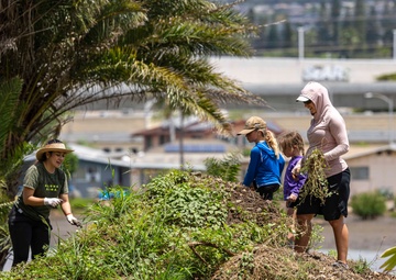 Sailors, Community Volunteer at Loko Pa'aiau Fishpond on Earth Day