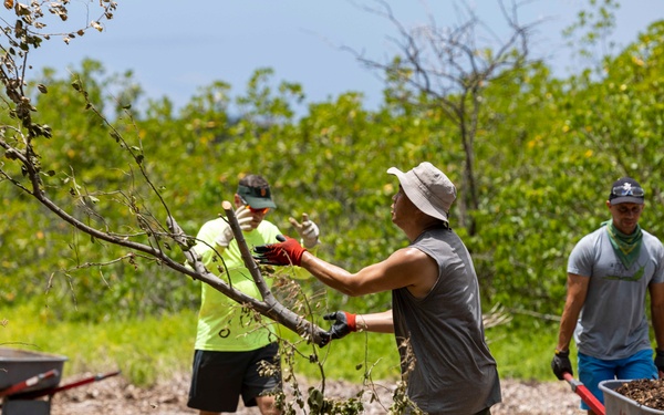 Sailors, Community Volunteer at Loko Pa'aiau Fishpond on Earth Day