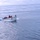 USCGC Eagle crew members conduct man-overboard drills