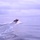 USCGC Eagle crew members conduct man-overboard drills