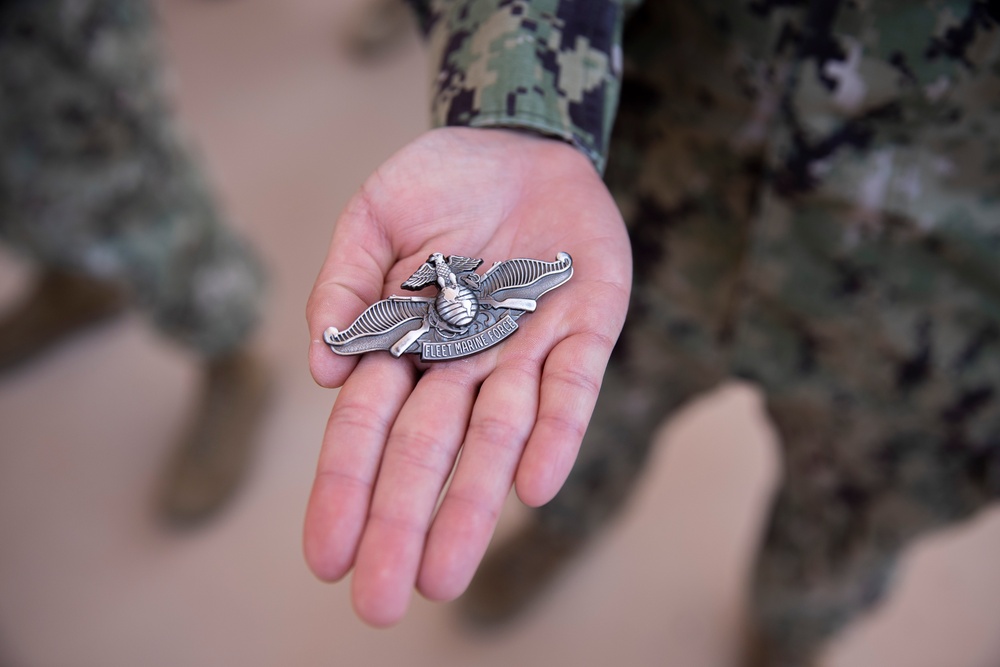 Gators earn Fleet Marine Force Warfare Insignia