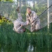 Kilo Company Confidence Course