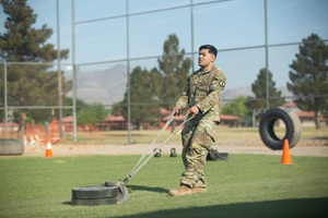 US and Iraqi Engineers defeat explosive threats