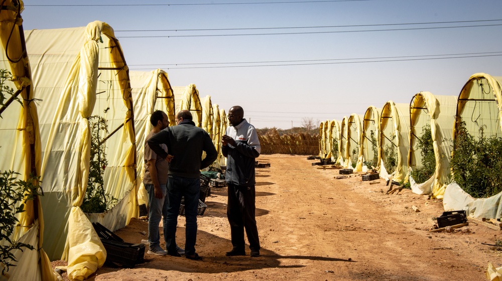 USAID met with Al-Janoub Poultry, a chicken and vegetable producer,  to identify  challenges for private sector innovation in Sebha, Libya.