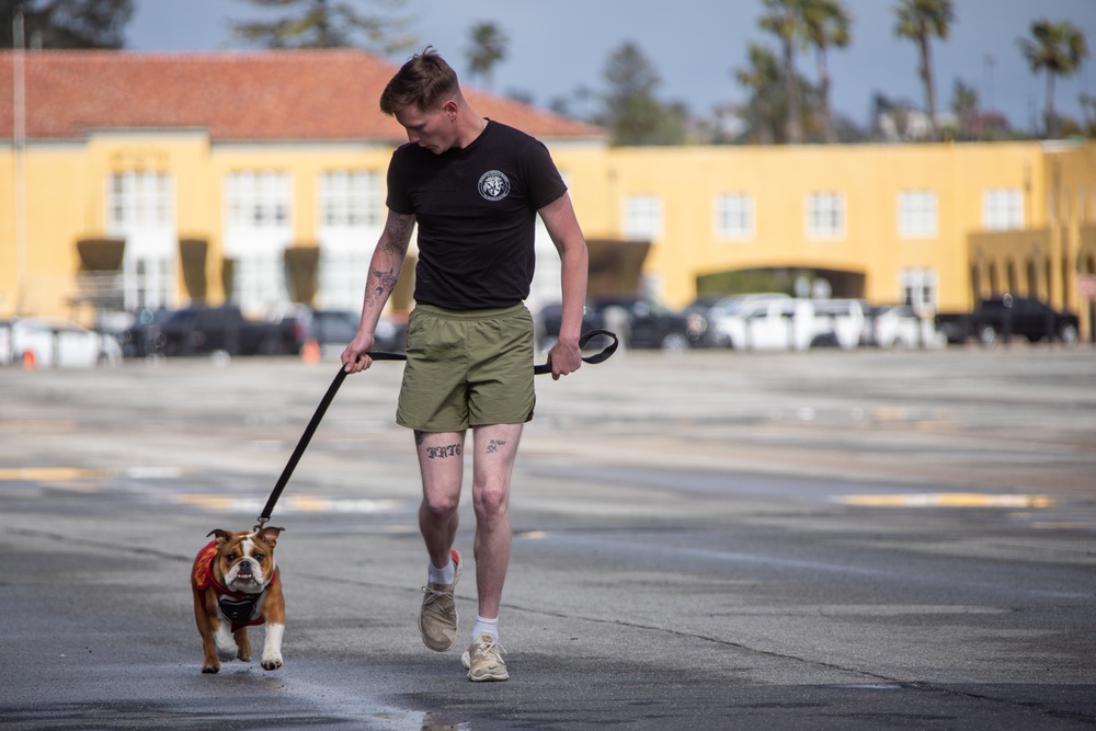 MCRD San Diego Moto Run