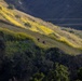 Marines and Veterans take on 14th Annual Recon Challenge