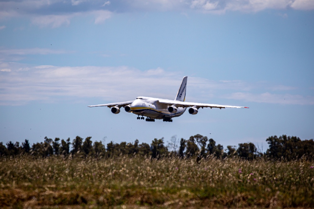 Antonov Delivers Tigers